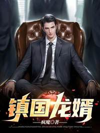 镇国龙婿
