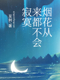 烟花从来都不会寂寞