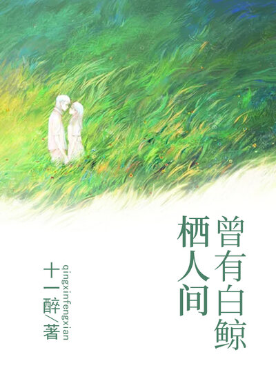 曾有白鲸栖人间