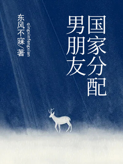 国家分配男朋友