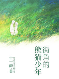 街角的熊猫少年