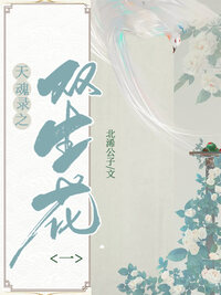 天魂录之双生花（一）