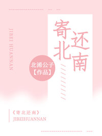 寄北还南