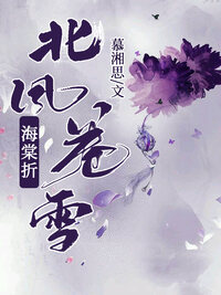 北风卷雪海棠折