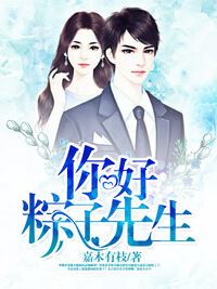 你好，粽子先生